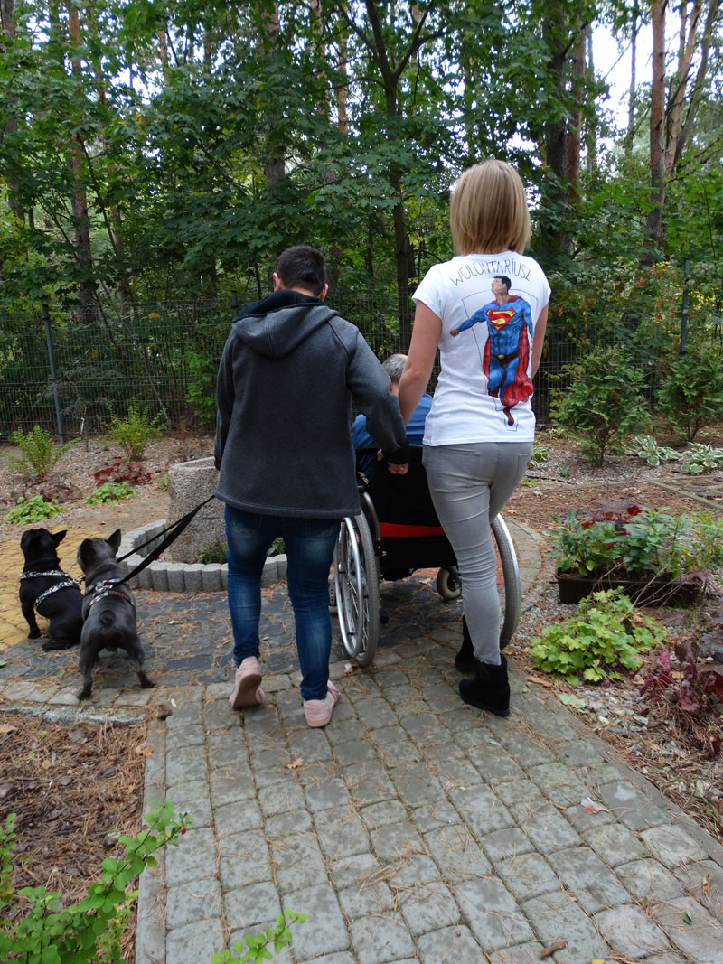 chłopiec z psami oraz dziewczyna pchająca wózek z osobą niepełnosprawną