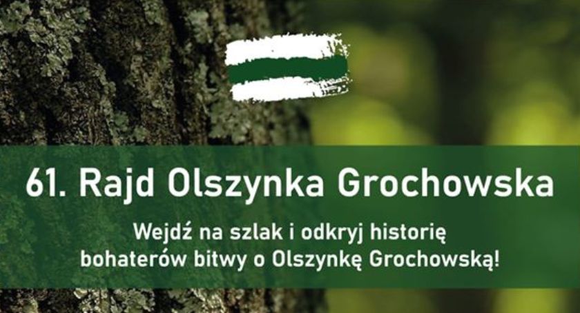plakat zdjęcia olszynka
